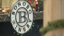 Brewvine: Getting in the Holiday Spirit at Bonobo Winery
