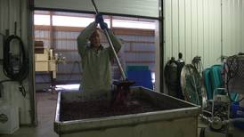 Brewvine: Busy Season for Winemakers