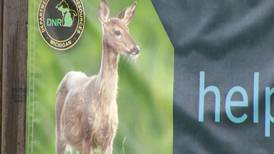 Hook & Hunting: Archery Deer Season Starts