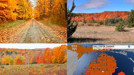 2023 Fall Color Report - Incredible Color!