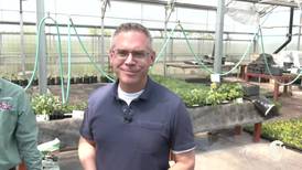 What’s Growing With Tom: How to Keep Your Plants Thriving