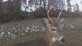 Hook & Hunting: DNR Discusses Start of Archery Deer Season