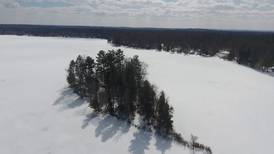 Northern Michigan From Above: Sunny Day on Fife Lake