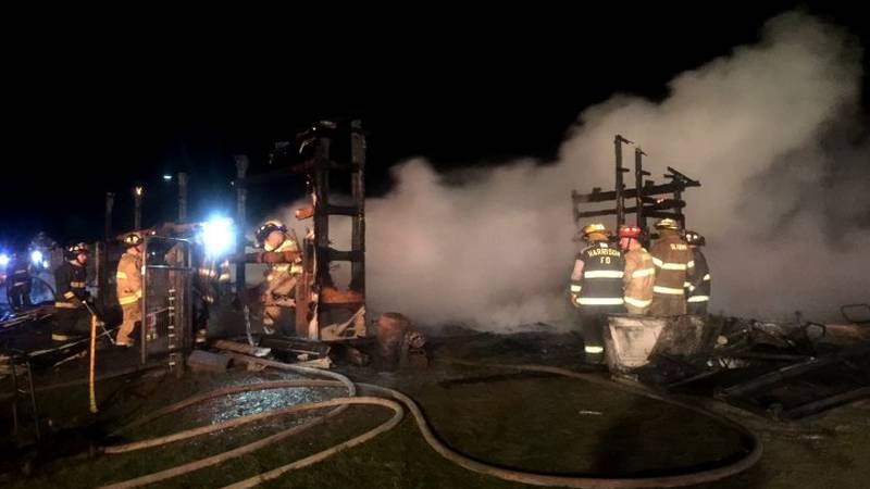 Promo Image: Prize Winning Rottweilers Dead After Gladwin Co. Barn Fire