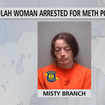 Beulah Woman Arrested for Having Meth in Benzie County