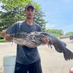Flathead Catfish Caught by Indiana Angler Breaks State Flathead Catfish Record
