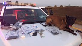 An Inside Look Into How a Cheboygan Police Dog Tracked a Suspect