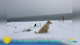 Children’s Author Katharine Crawford Talks About ‘Tor and Raven are Friends’