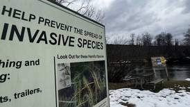 Recent State Funding Could Help Fight Most Recent Wave of Invasive Species in Northern Michigan