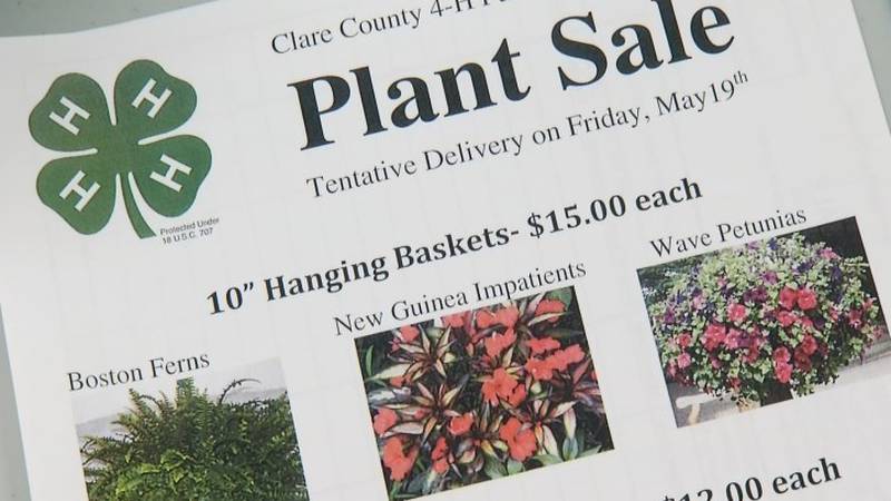Promo Image: Clare County 4-H Looks To Raise Money Through Plant Sale