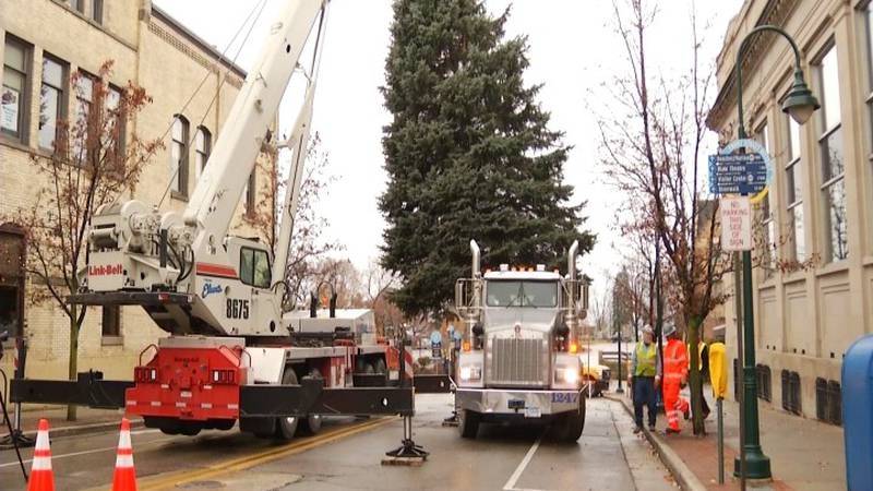 Promo Image: Traverse City Elks Lodge Donates Christmas Tree to Downtown Traverse City