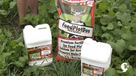 What’s Growing With Tom: How to maintain soil health at your food plot