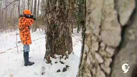 Hook & Hunting: Why do hunters wear orange?