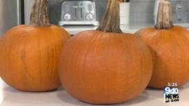 Growing, Eating, and Educating with NanBop Farm: Making Pumpkin Purée