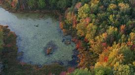 Northern Michigan From Above: Early Fall Colors at Lake Dubonnet