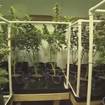 City of Cadillac Council Licensing for Marijuana Grow Facilities
