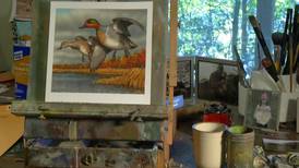 Suttons Bay Artist Wins Michigan State Duck Stamp Contest