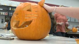 Big Rapids High School helping Oxford Farms carve pumpkins for Glowing Pumpkin Trail Event