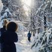 GTPulse: Rove Point Trail Open to Public for Beautiful Views and Snowshoeing
