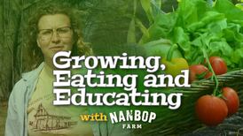 Growing, Eating, and Educating with NanBop Farm: Winter to Spring Chickens