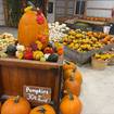 Kicking off pumpkin season at The Wild Pumpkin
