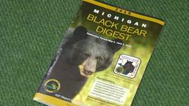 Northern Michigan Bears On the Move, DNR Warns Against Backyard Feeding