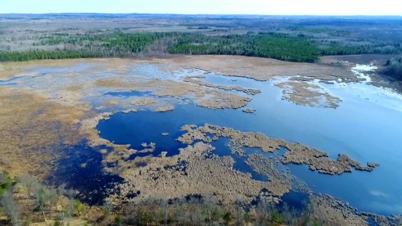 Promo Image: Sights and Sounds Drone Edition: Floodwood Swamp Reservoir