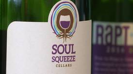 BrewVine: Soul Squeeze Cellars in Lake Leelanau