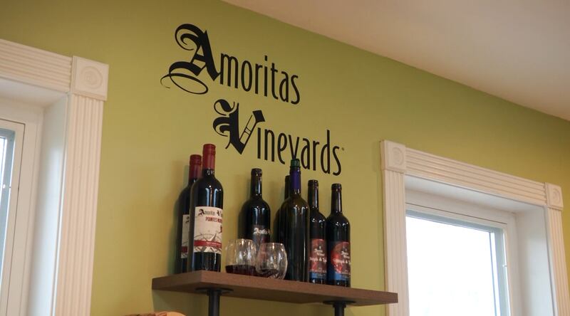Promo Image: Brewvine: Hand-Pressed Wines at Amoritas Vineyards in Leelanau