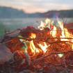 Sights and Sounds: Cozy Campfire at the Edge of Lake Olga