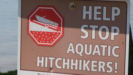 Hook & Hunting: Aquatic Invasive Species Awareness Week