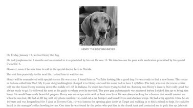 This Obituary for Beloved Dog is the Sweetest Thing You’ll Read This Week